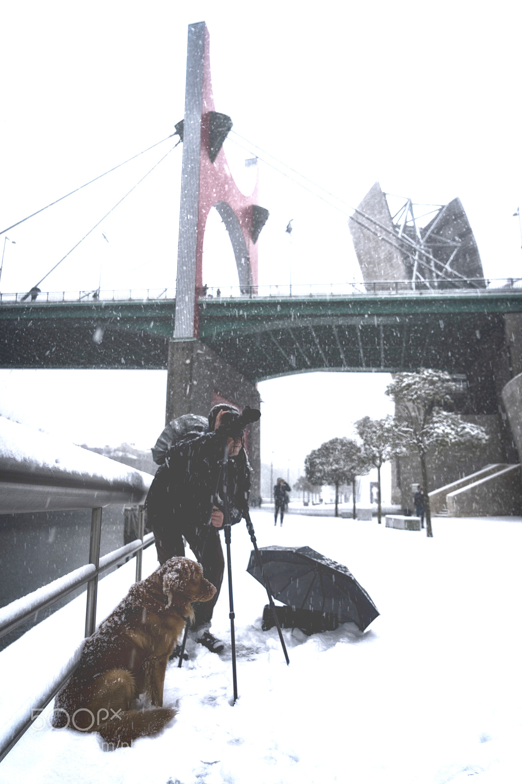 Sony a7 II sample photo. Bilbao nevado photography