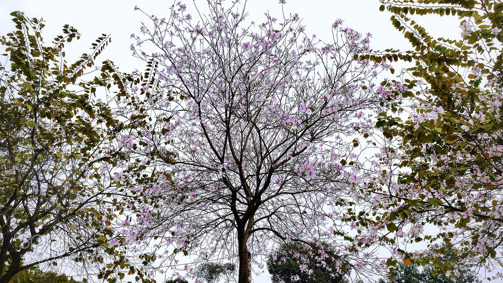 Fujifilm X-T20 sample photo. Untitled photography