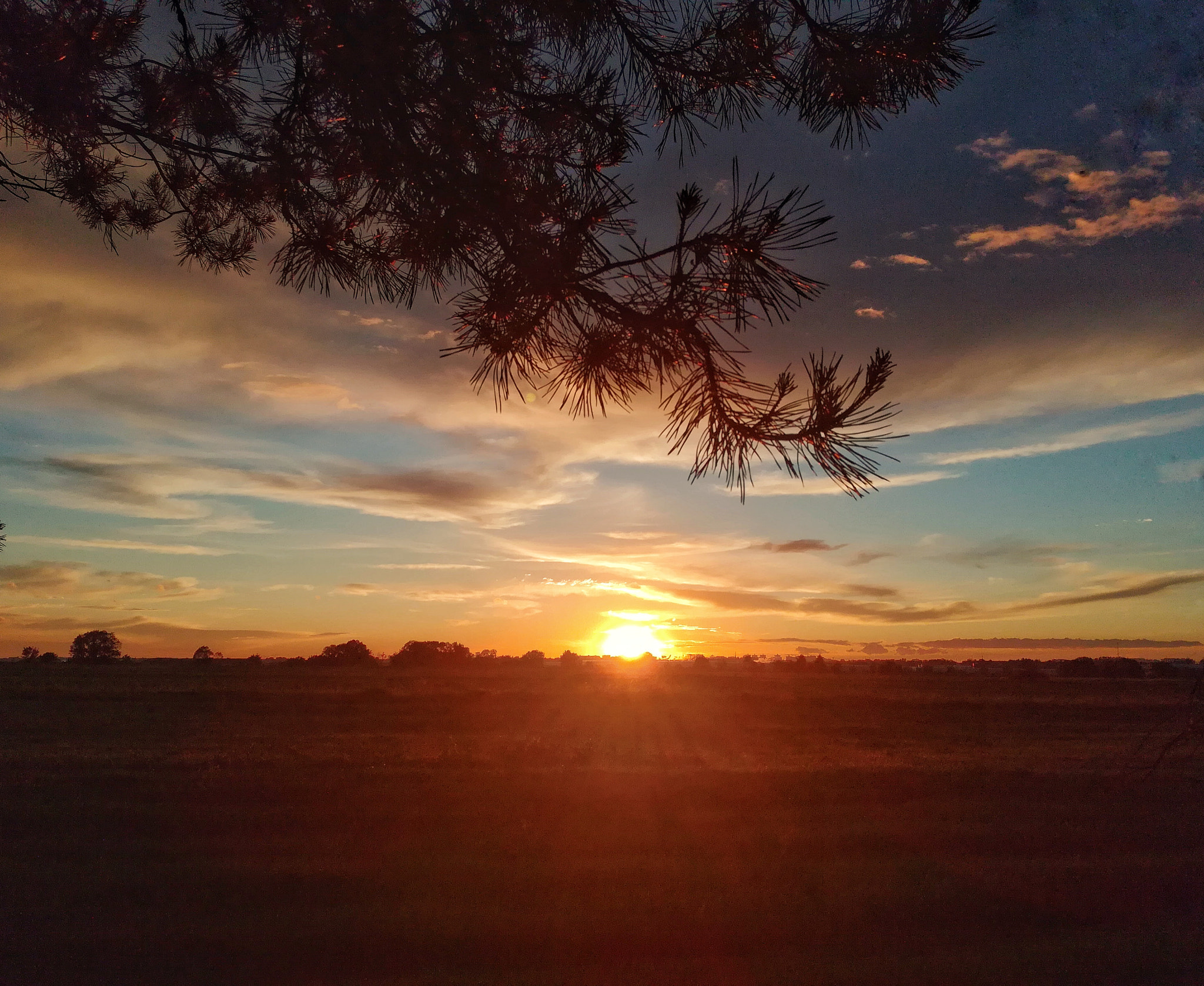 HUAWEI Honor 5C sample photo