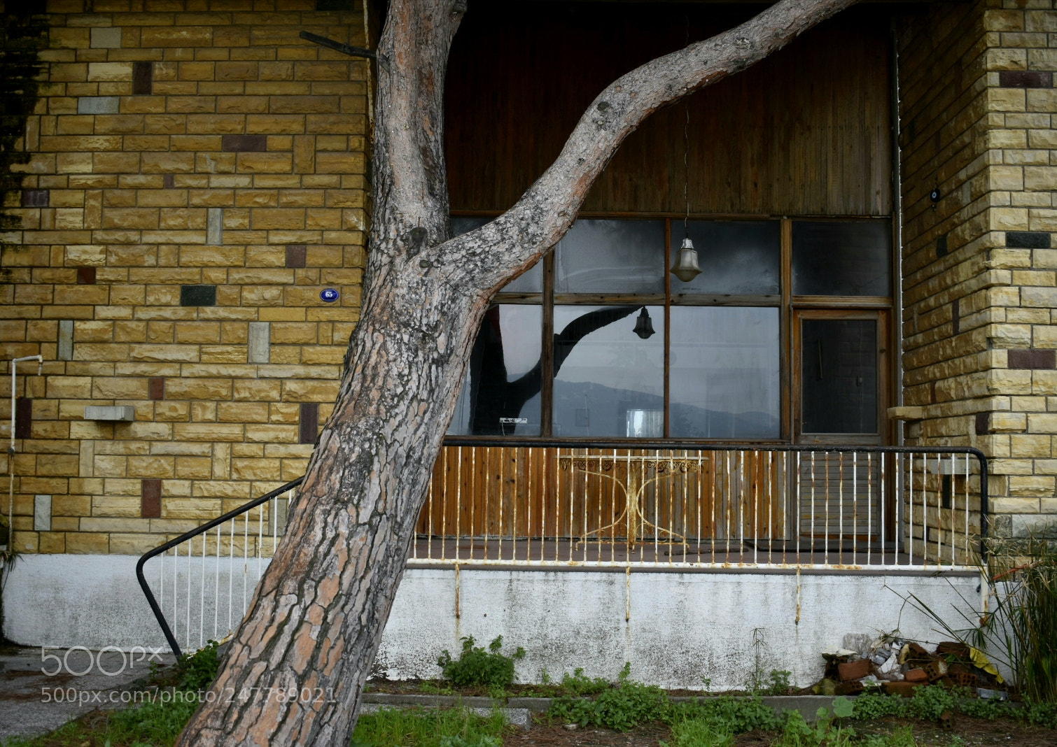 Nikon D3400 sample photo. Untitled photography