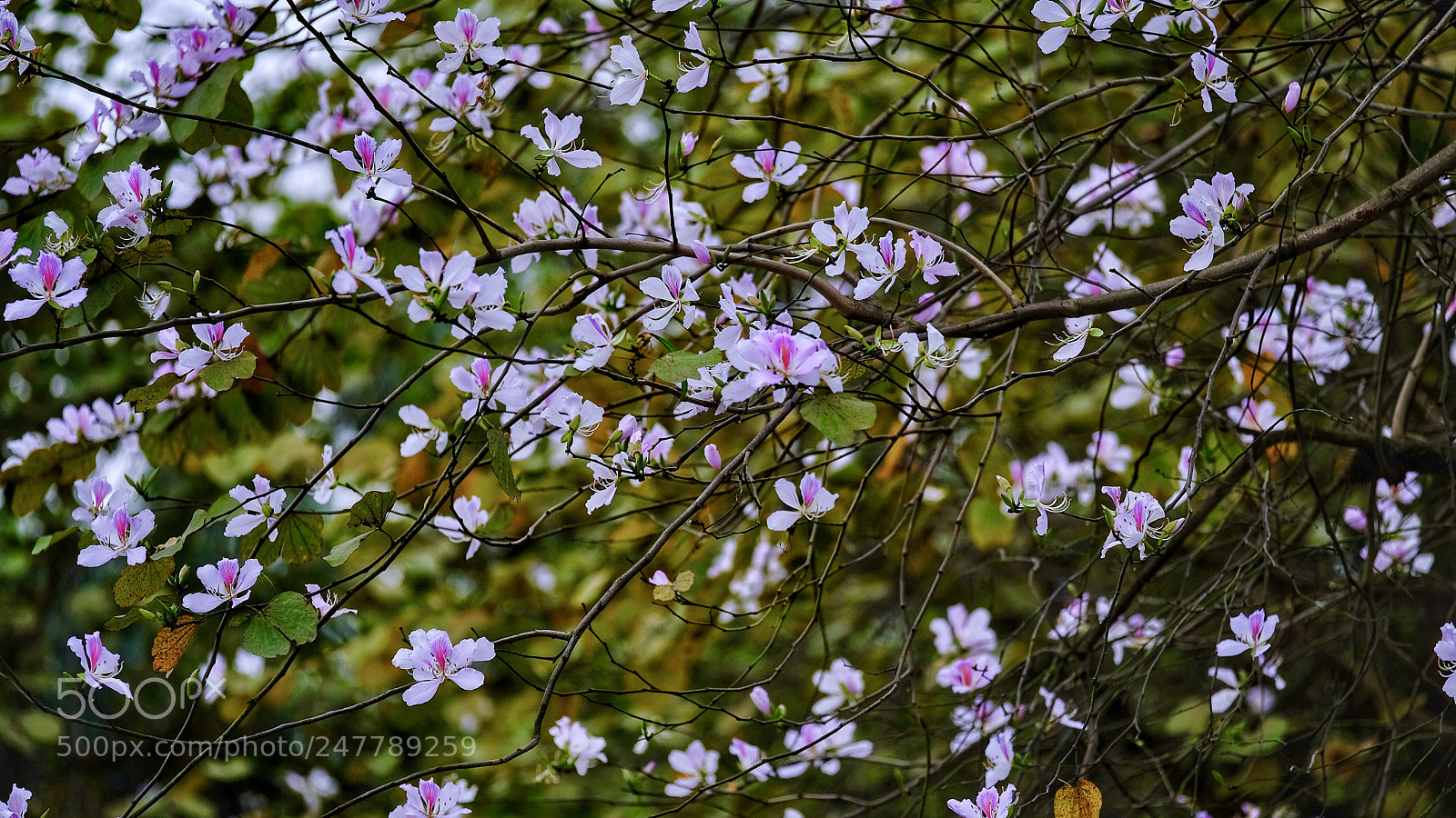 Fujifilm X-T20 sample photo. Untitled photography