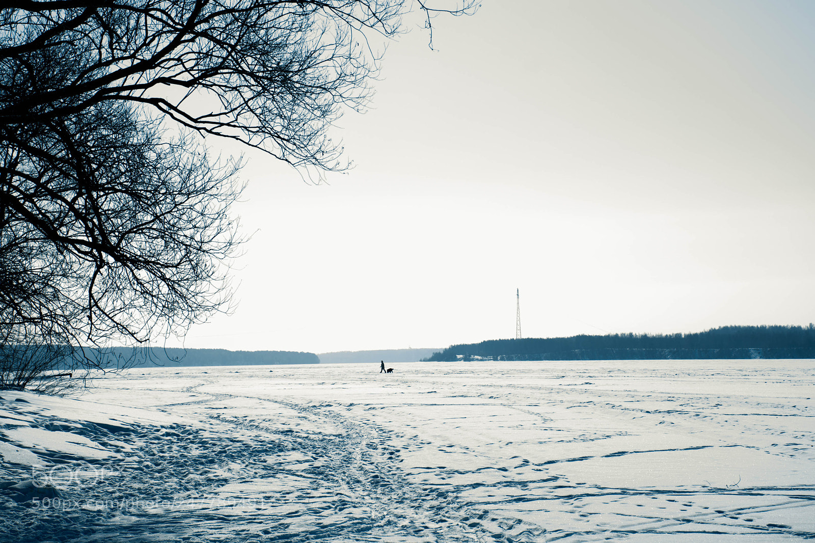 Nikon D5200 sample photo. Гулять по воде... photography