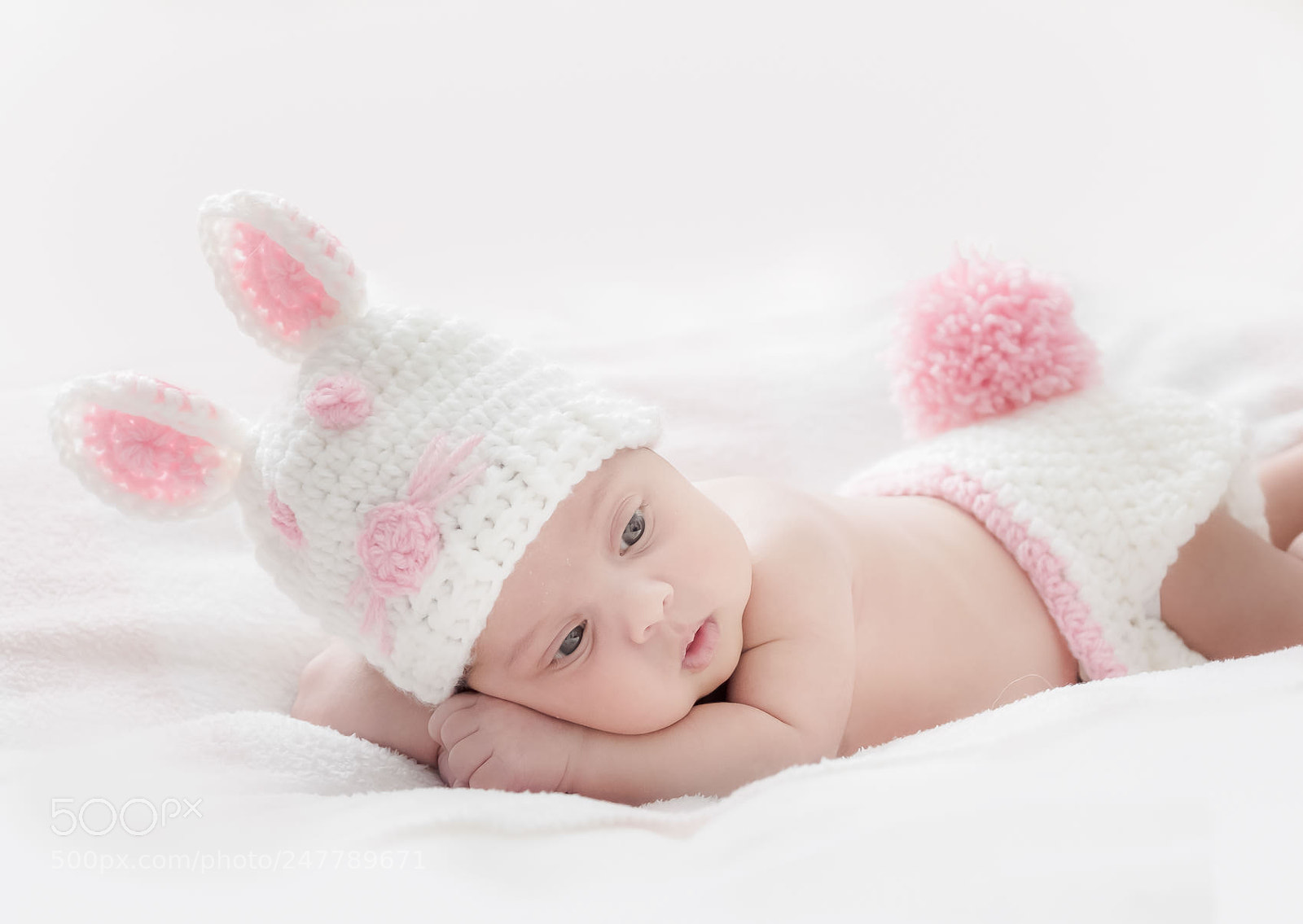 Fujifilm X-T2 sample photo. Rabbit photography