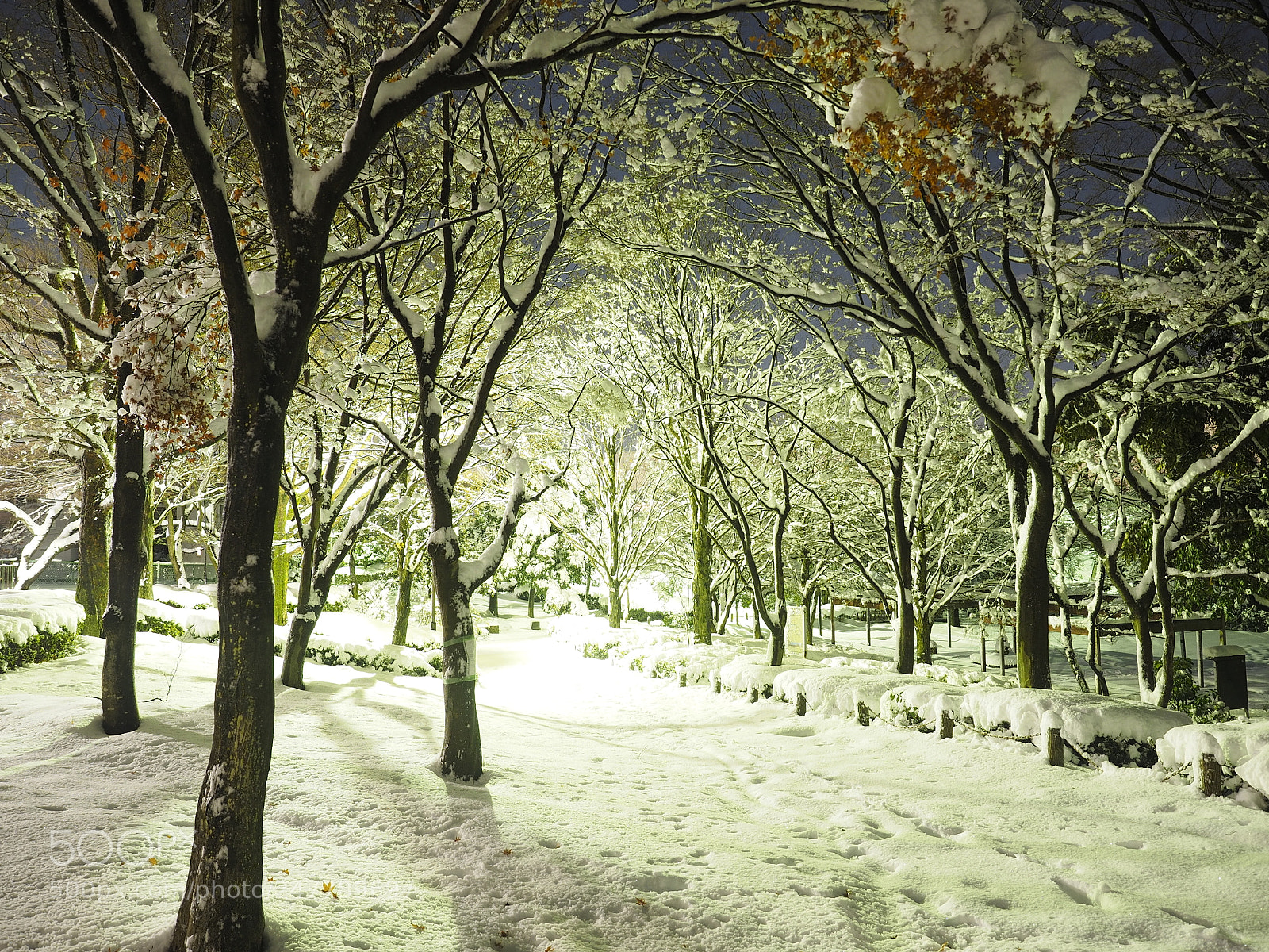 Olympus OM-D E-M1 sample photo. Snow scene at the photography