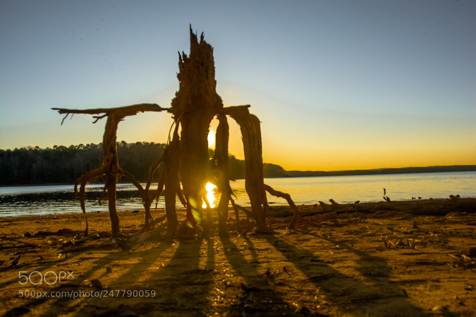 Nikon D7100 sample photo. Still standing photography