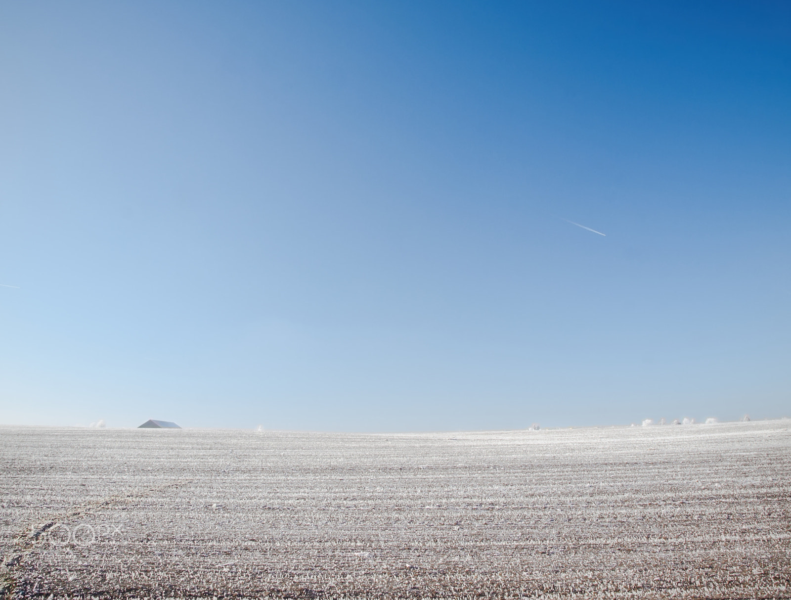 Olympus E-450 (EVOLT E-450) sample photo. Hoarfrost on winter field photography