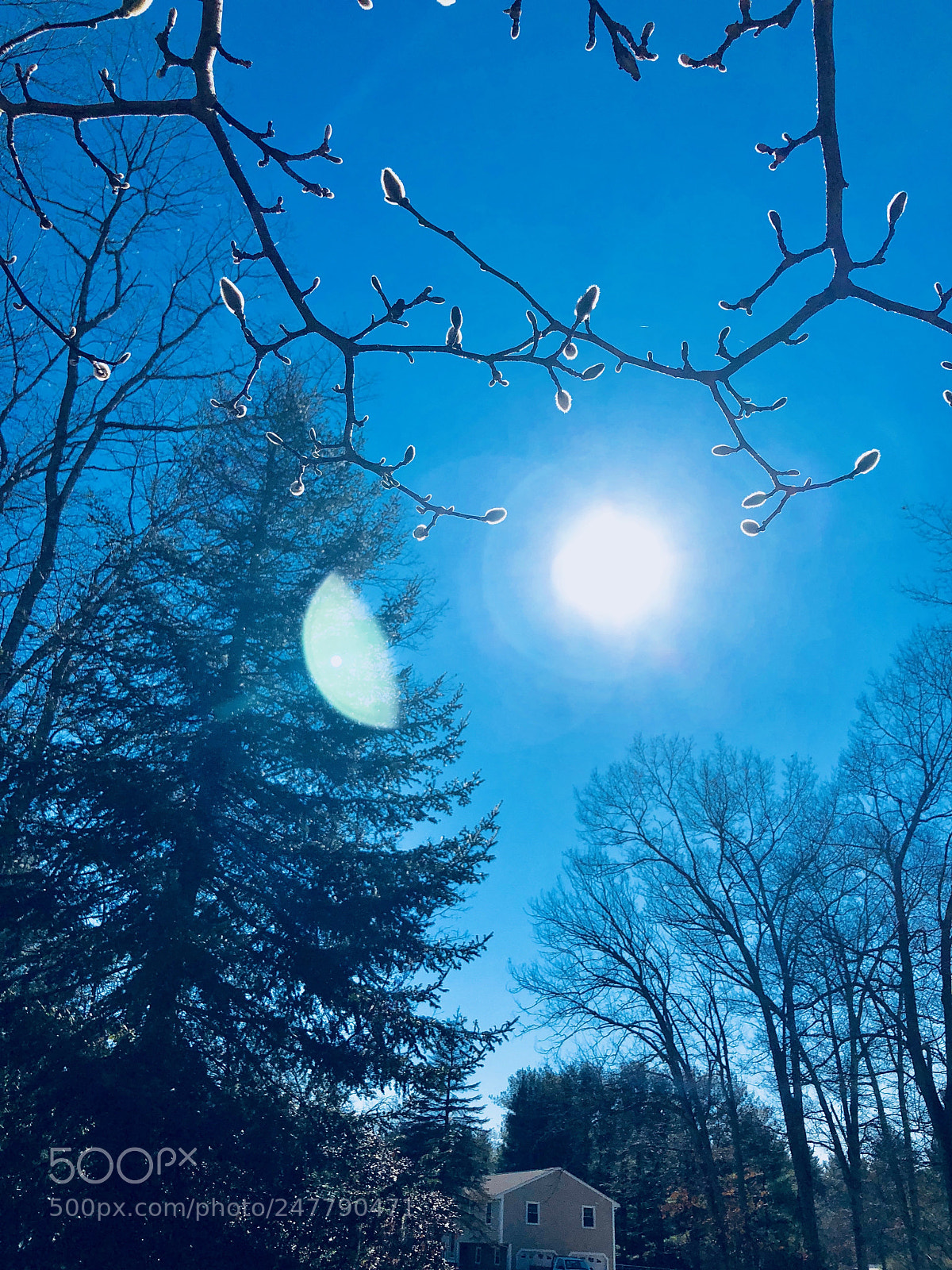 Apple iPhone 8 Plus sample photo. Untitled photography