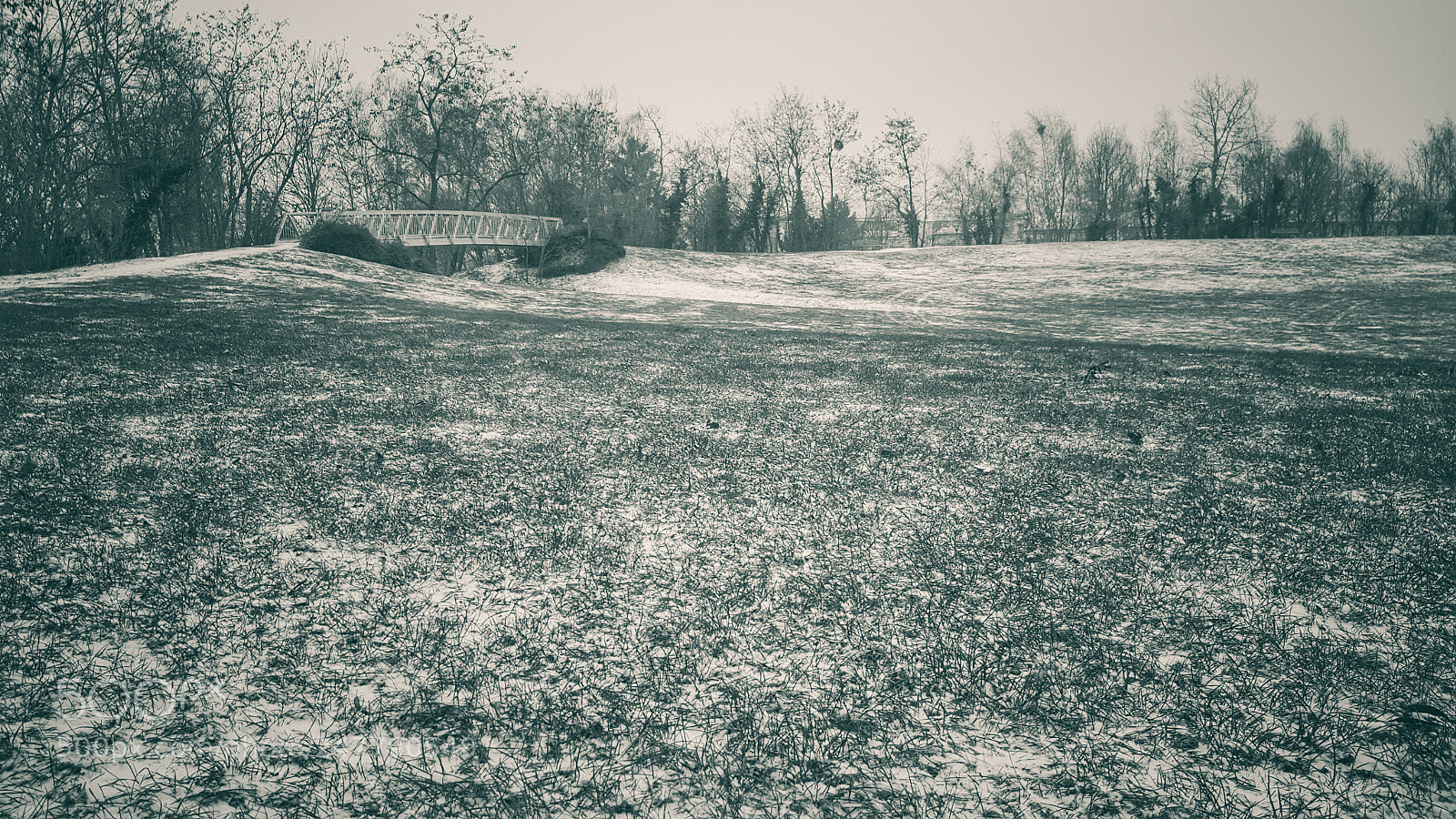 Samsung Galaxy Note5 sample photo. Untitled photography