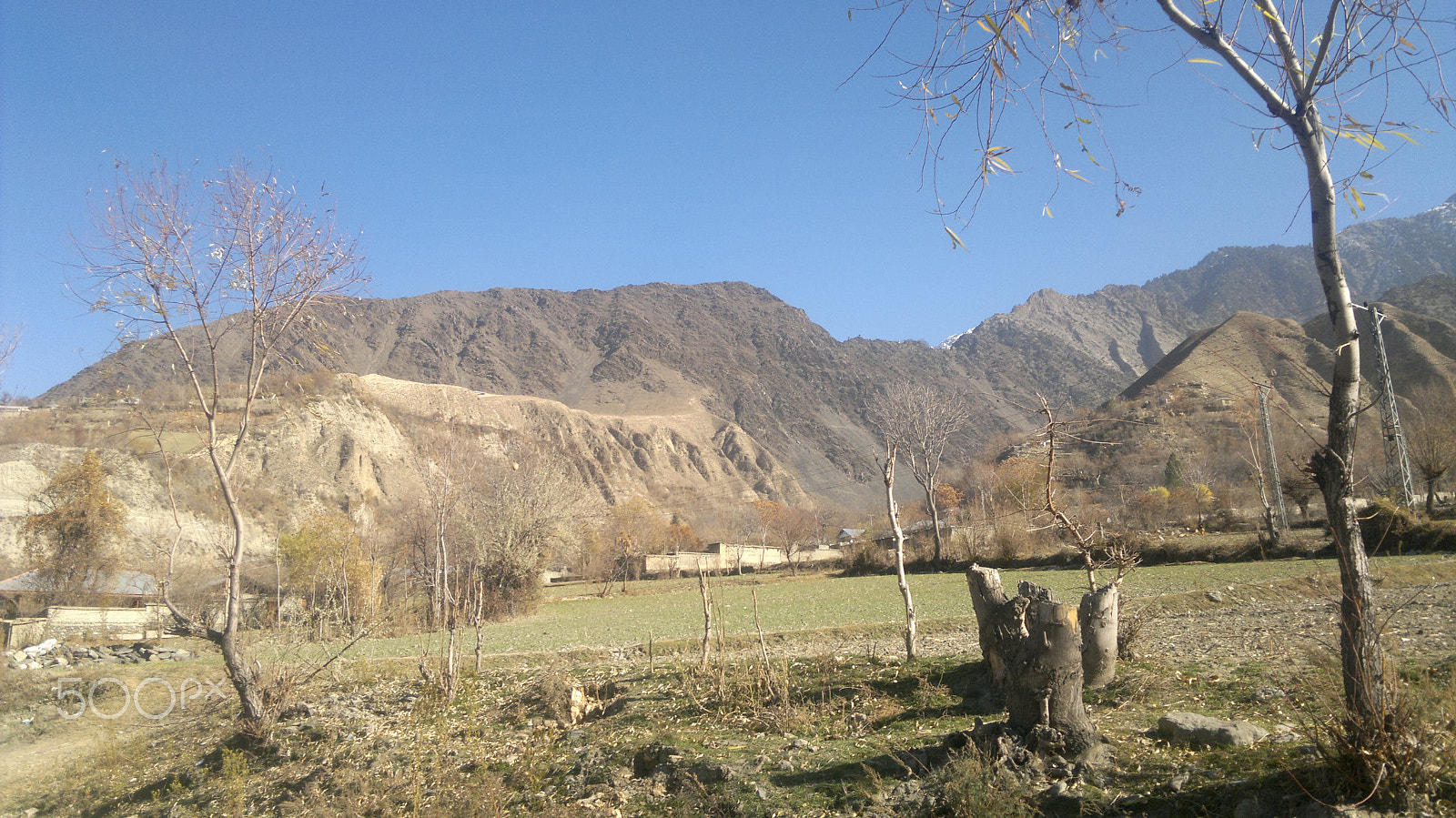 Nokia N8-00 sample photo. Shool life photography