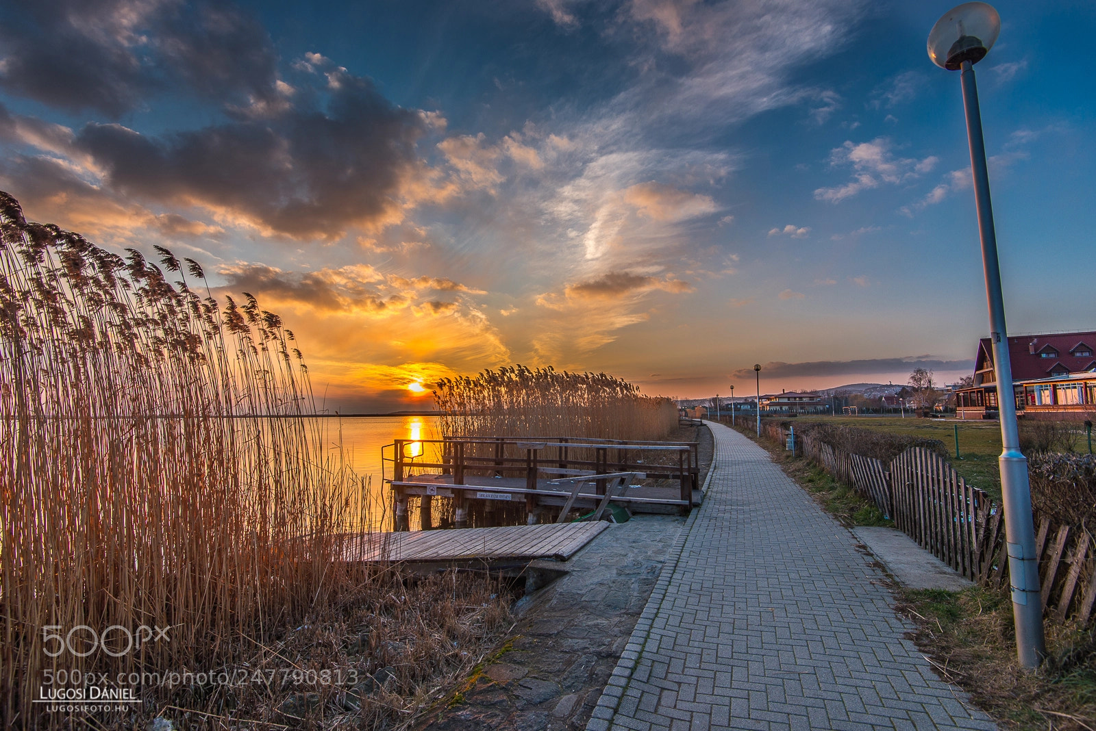 Nikon D610 sample photo. Venice lake photography
