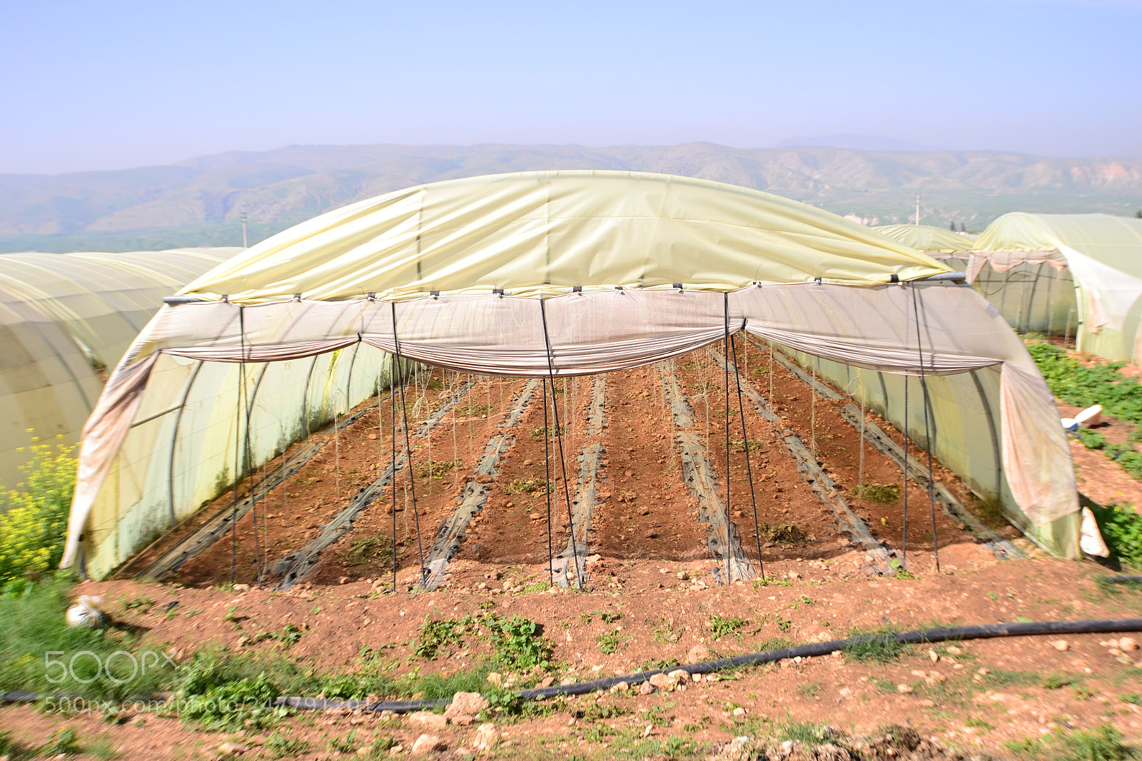 Nikon D3100 sample photo. Farming photography
