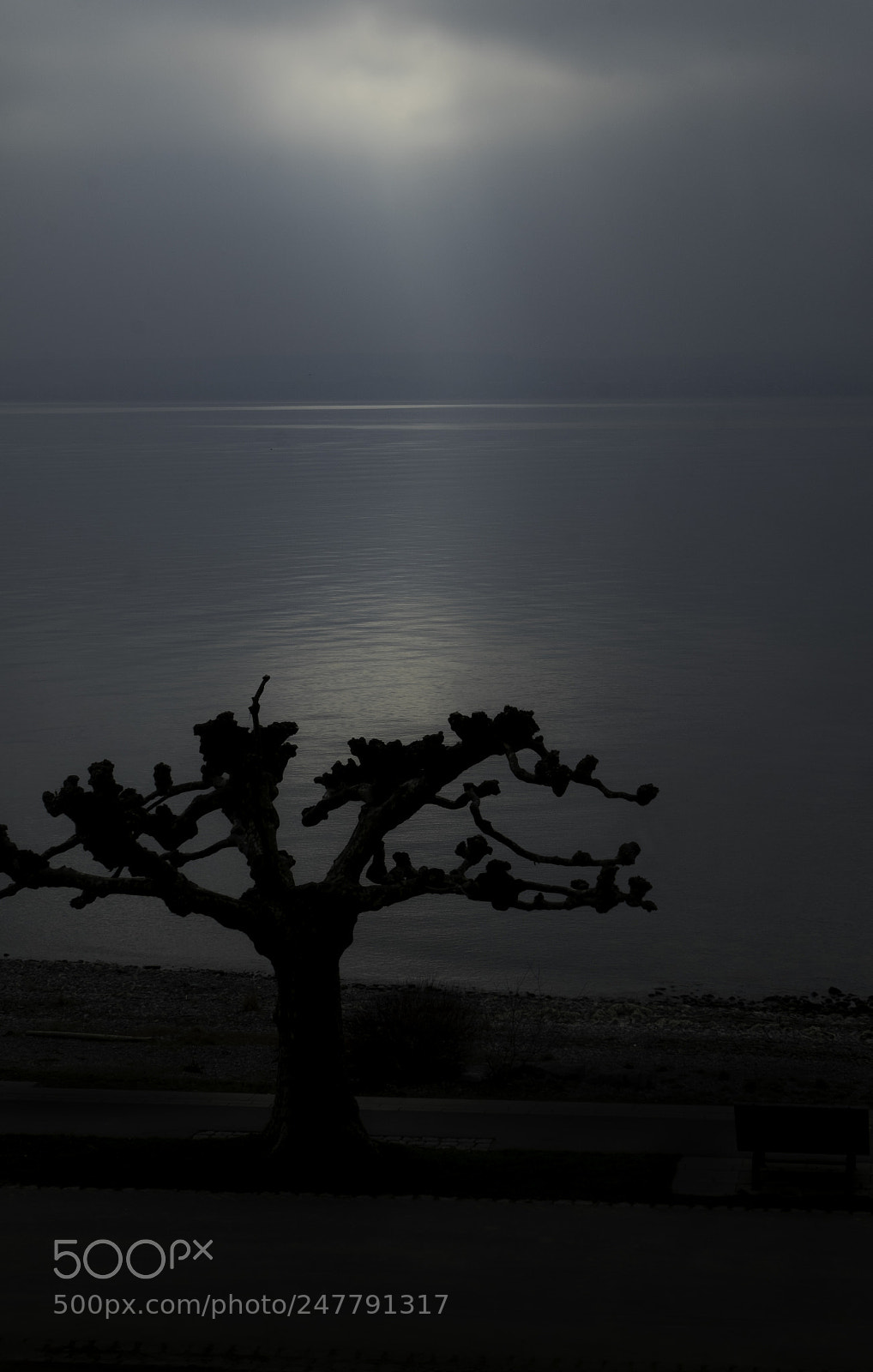 Fujifilm X-T1 sample photo. Abschied photography