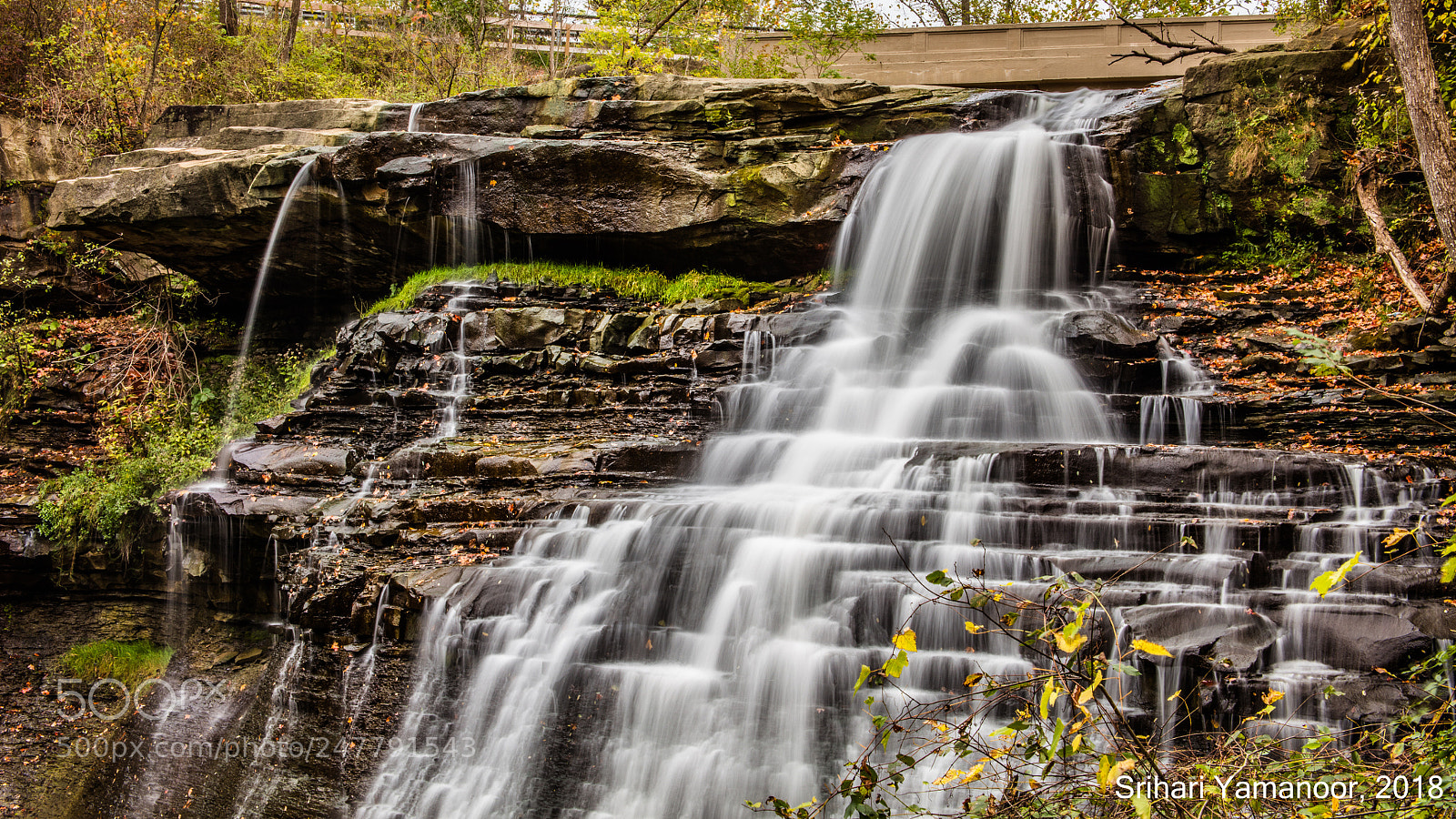 Canon EOS 5DS R sample photo. Falling photography