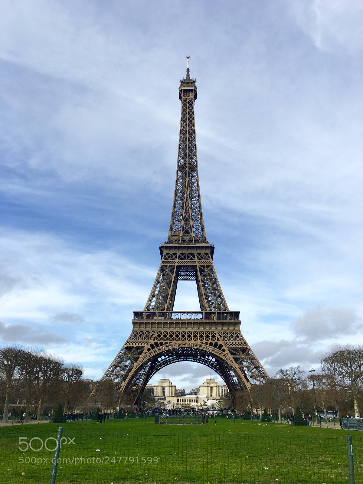Apple iPhone 6s Plus sample photo. 001.jpg photography