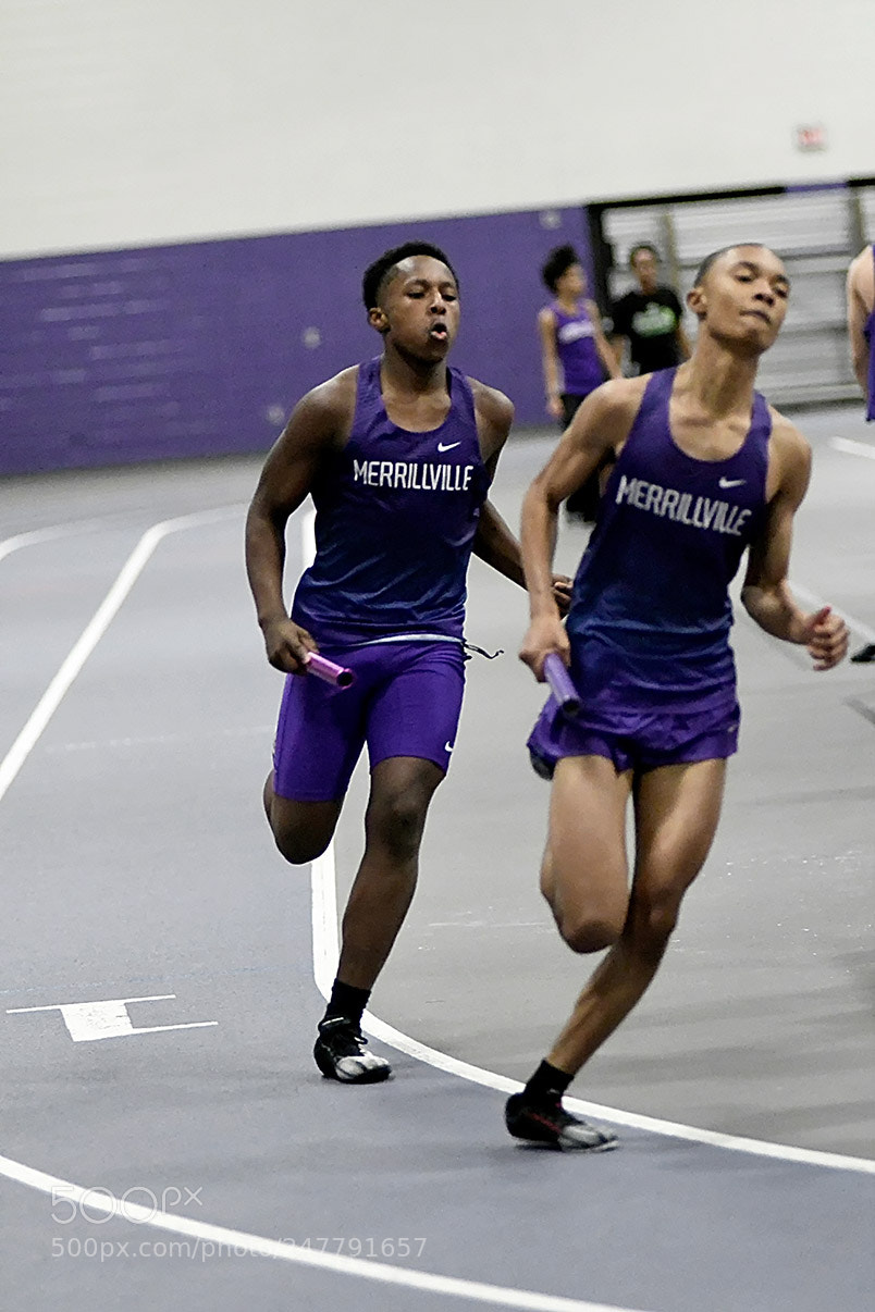 Nikon D500 sample photo. 2-26_1480.jpg photography