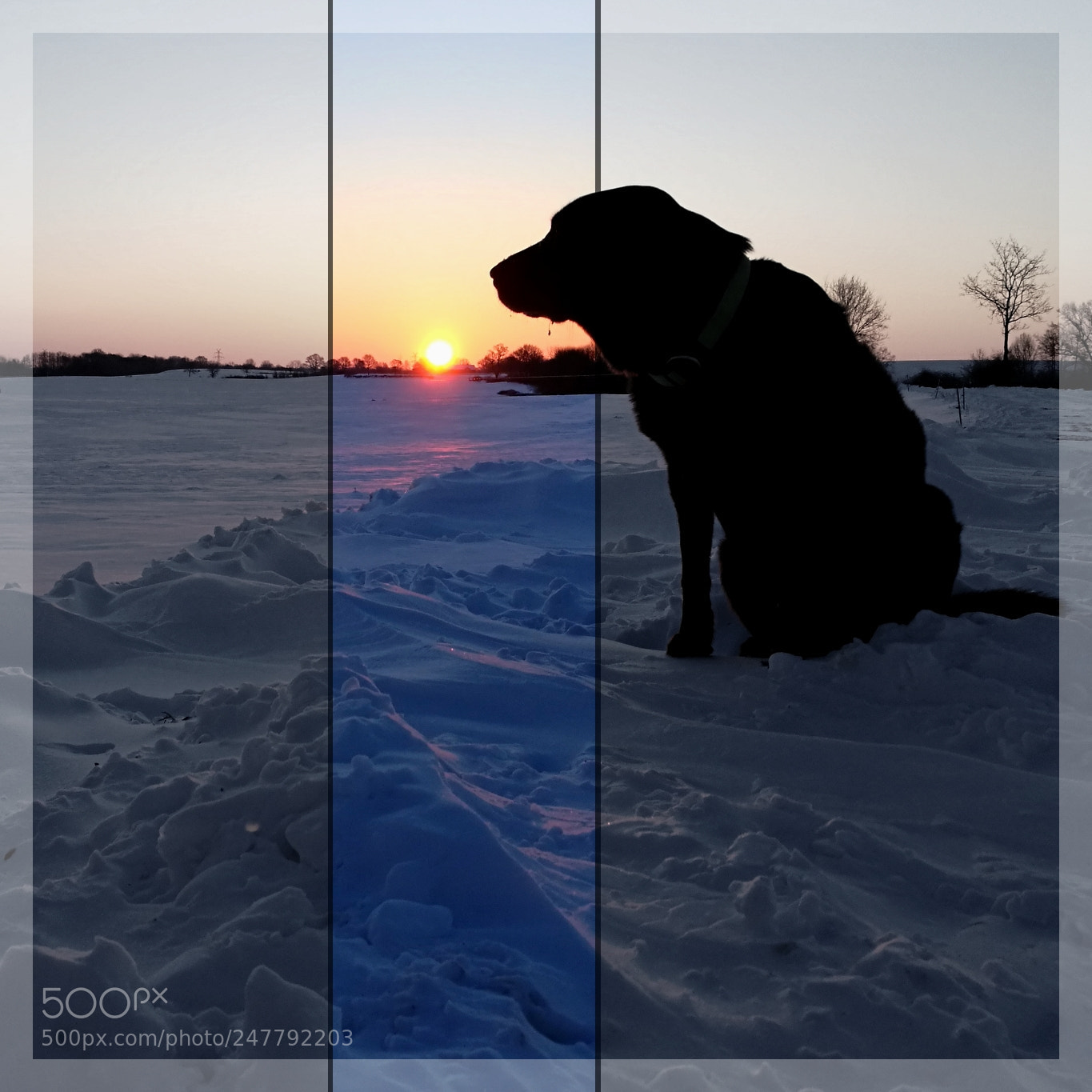 HUAWEI P9 sample photo. Sun rise in winter photography