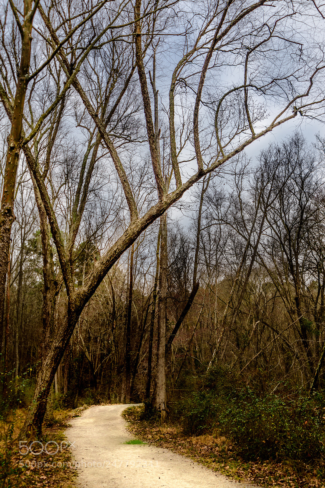 Nikon D850 sample photo. Reaching out photography