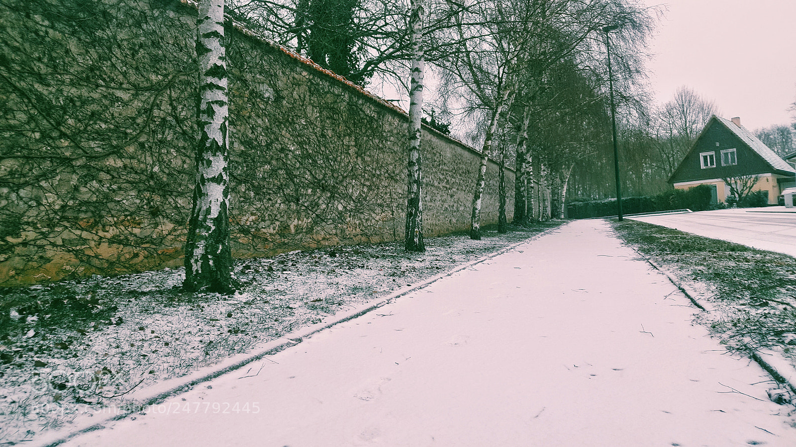 Samsung Galaxy Note5 sample photo. Untitled photography