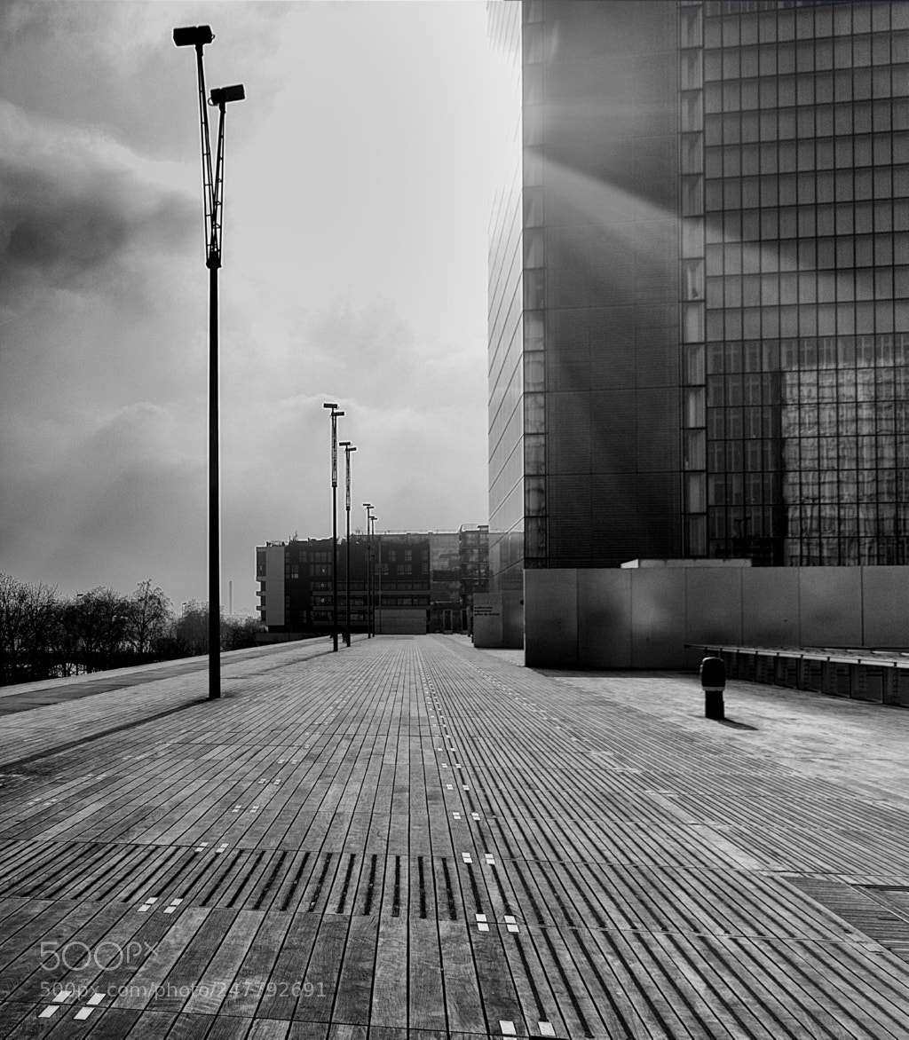 Pentax K-3 II sample photo. Parvis photography