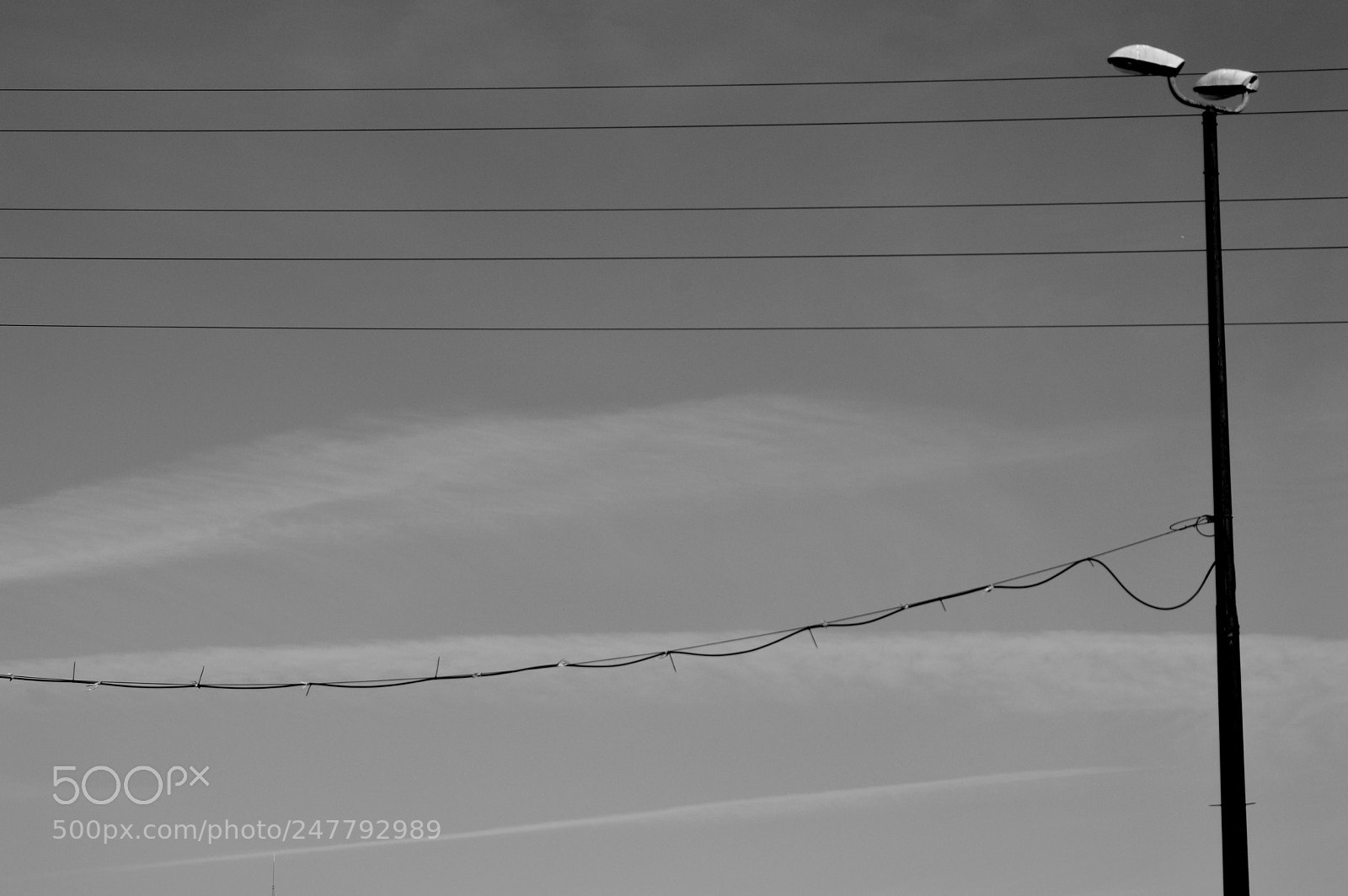 Nikon D3200 sample photo. The wire photography