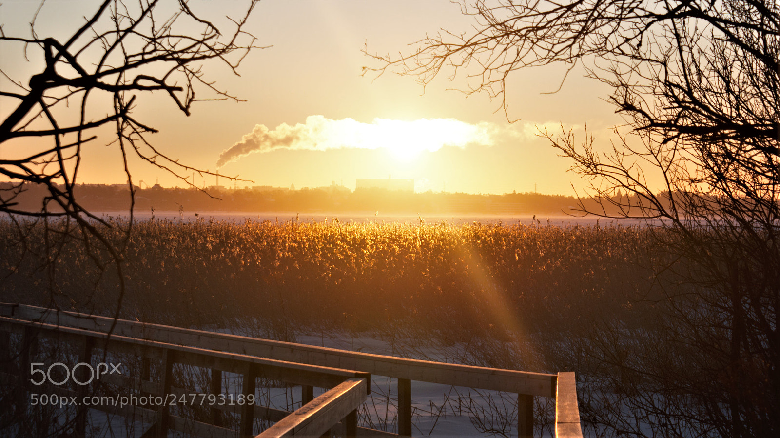 Sony Alpha DSLR-A350 sample photo. First sunrays of march 2 photography