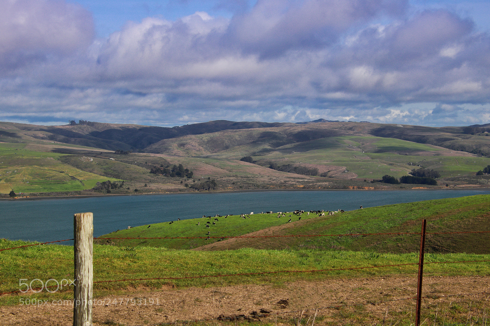 Canon EOS 77D (EOS 9000D / EOS 770D) sample photo. Pastorale photography
