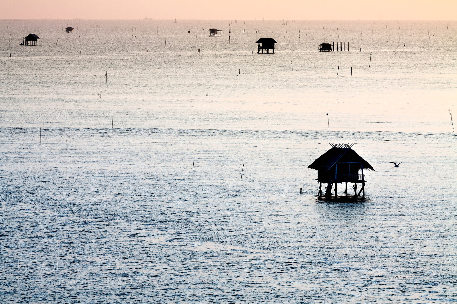 Canon EOS 50D sample photo. With alone photography