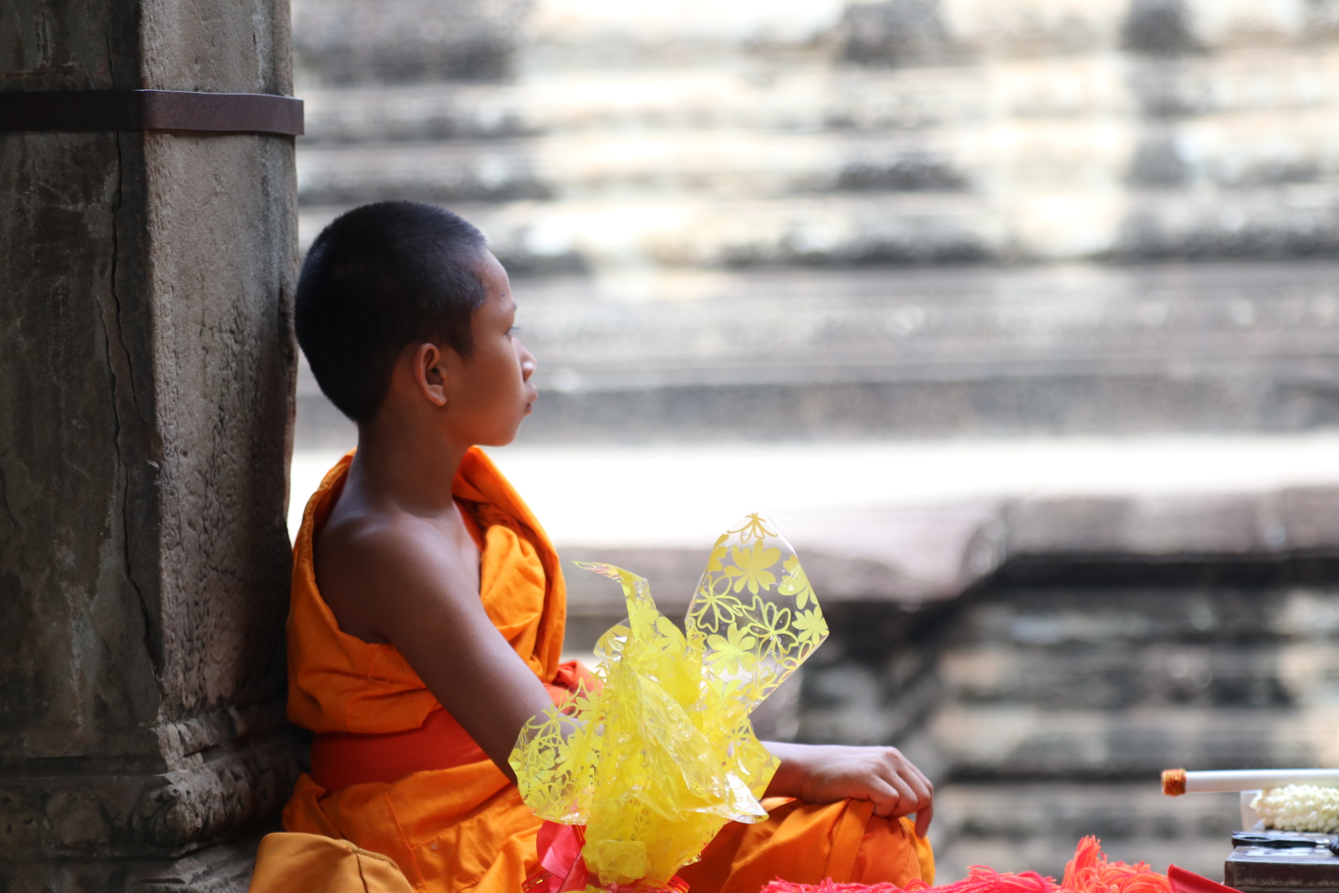Canon EOS 80D + Canon EF 24-105mm F4L IS USM sample photo. A young monk photography