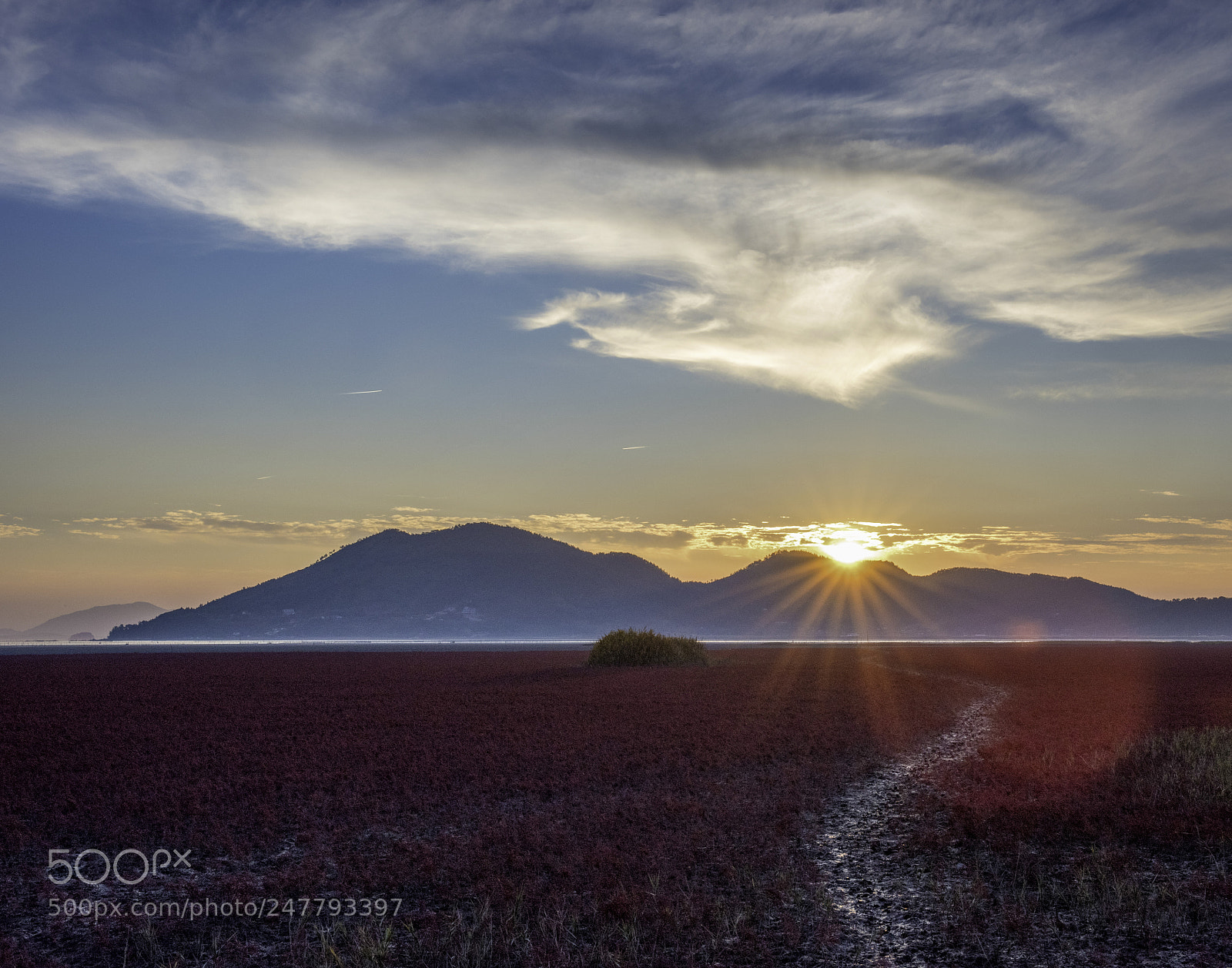 Nikon D810 sample photo. Sunset over sunchon bay photography
