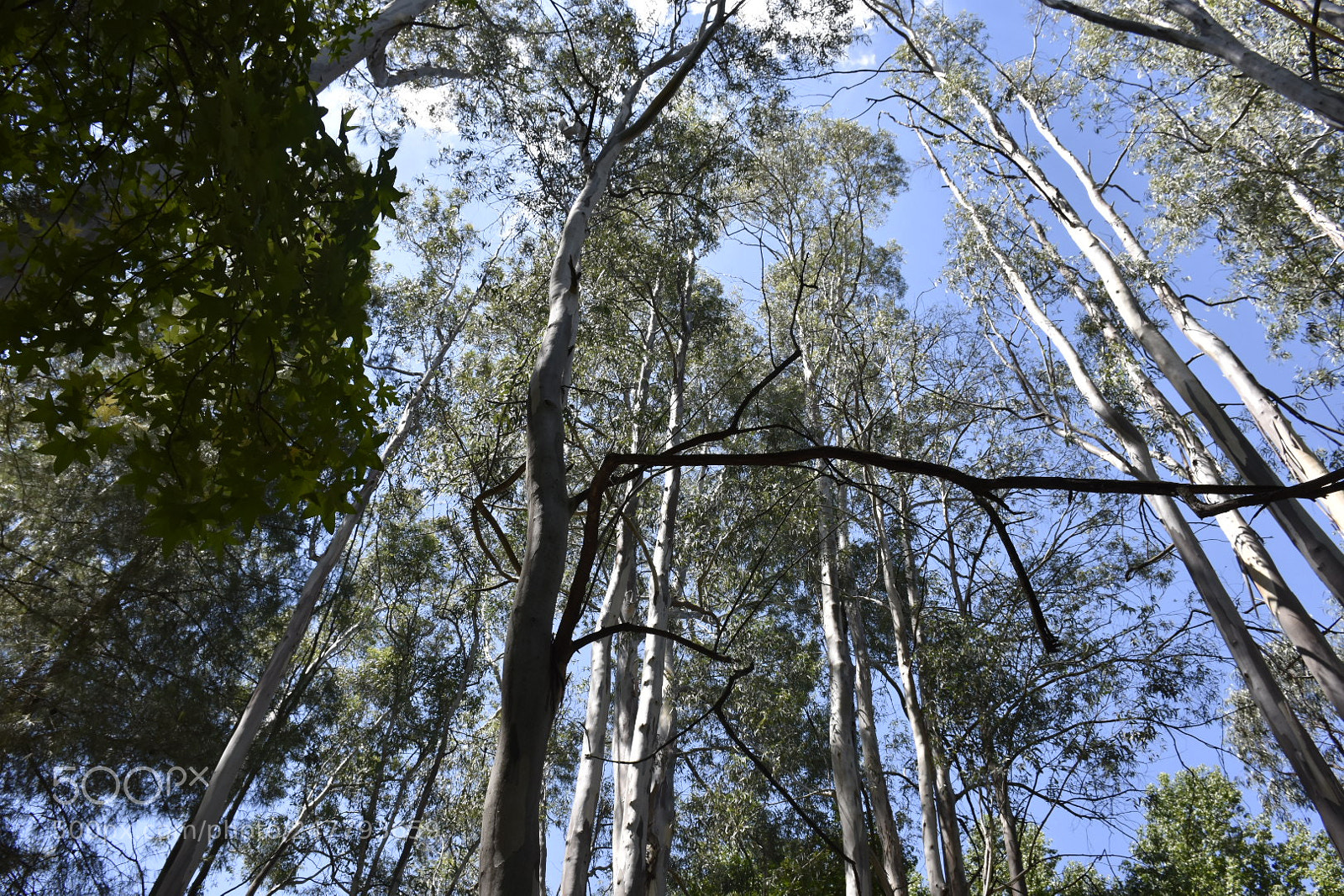 Nikon D7200 sample photo. Dsc photography