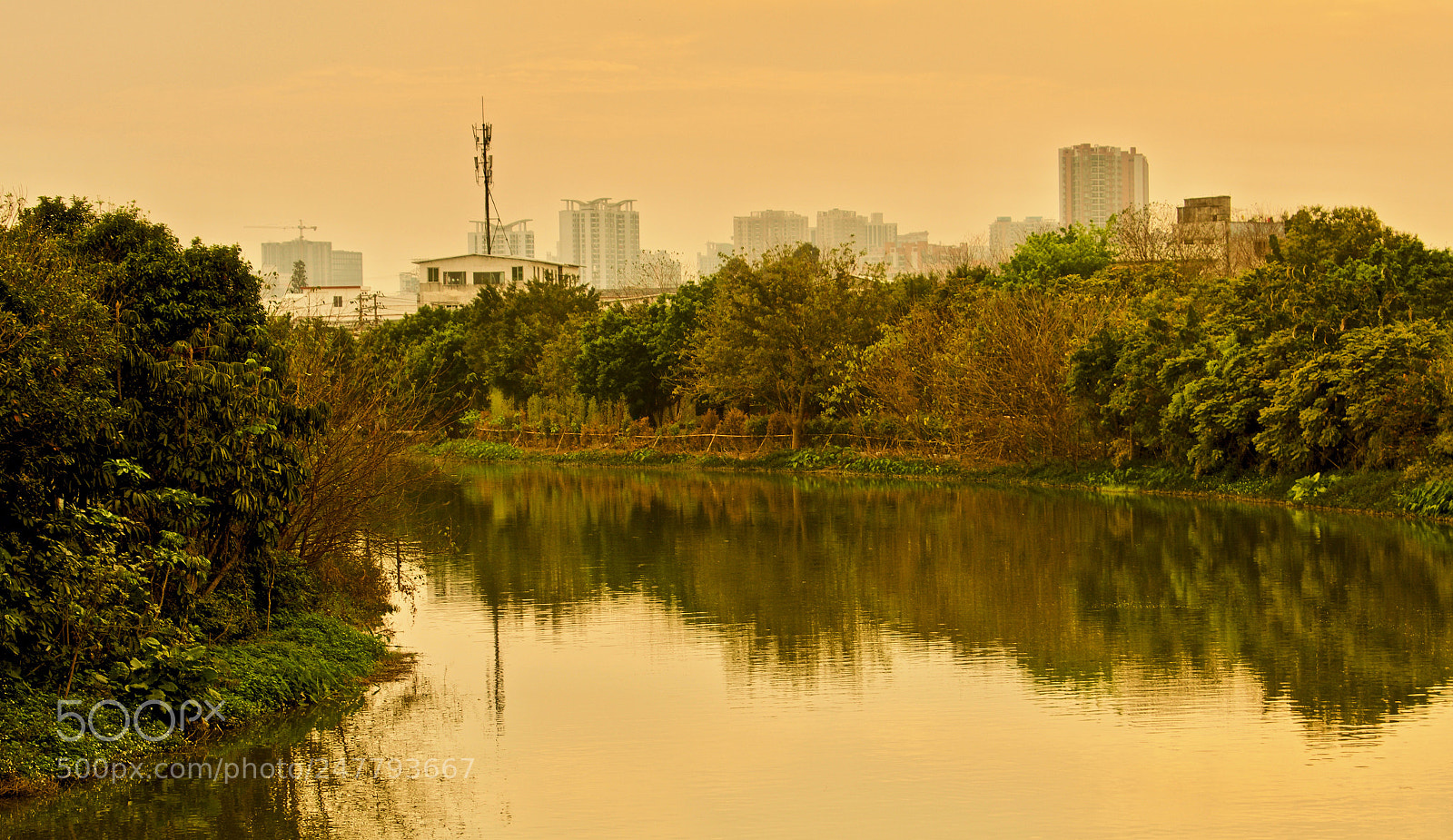 Nikon D5600 sample photo. Rest of all photography