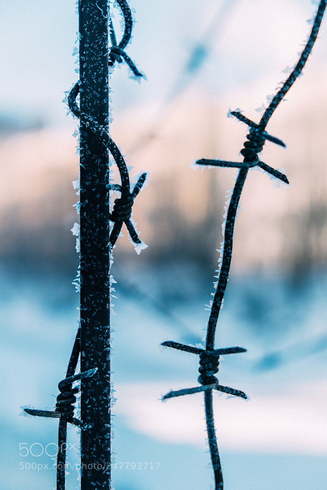 Fujifilm X-T1 sample photo. Ice photography