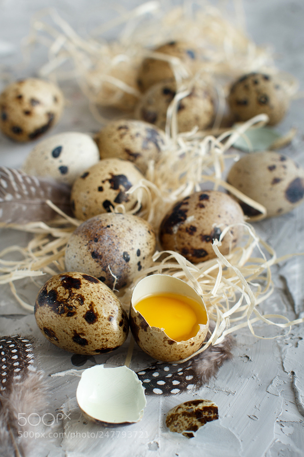 Canon EOS 650D (EOS Rebel T4i / EOS Kiss X6i) sample photo. Quail eggs top view photography