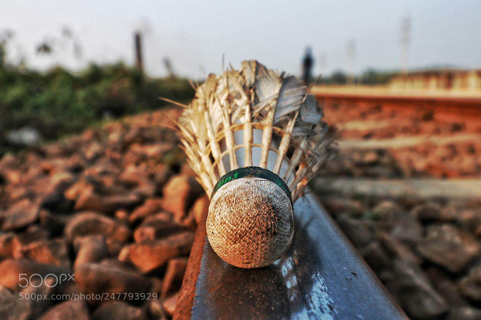 Canon EOS 80D sample photo. Untitled photography