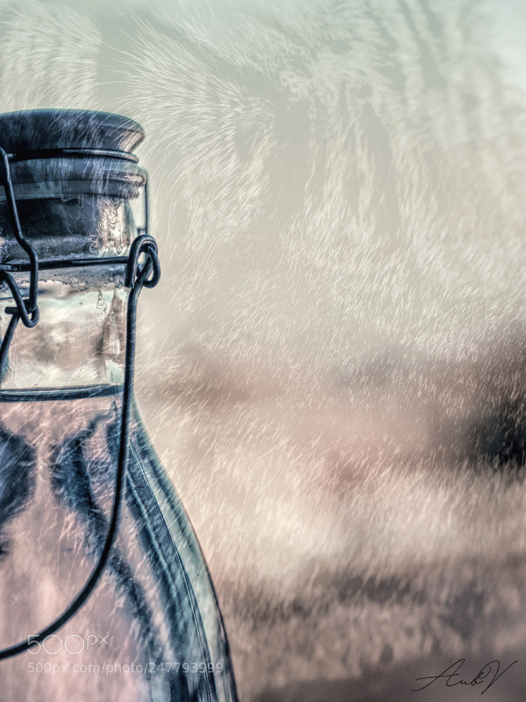 Olympus PEN E-PL1 sample photo. Still life with a photography