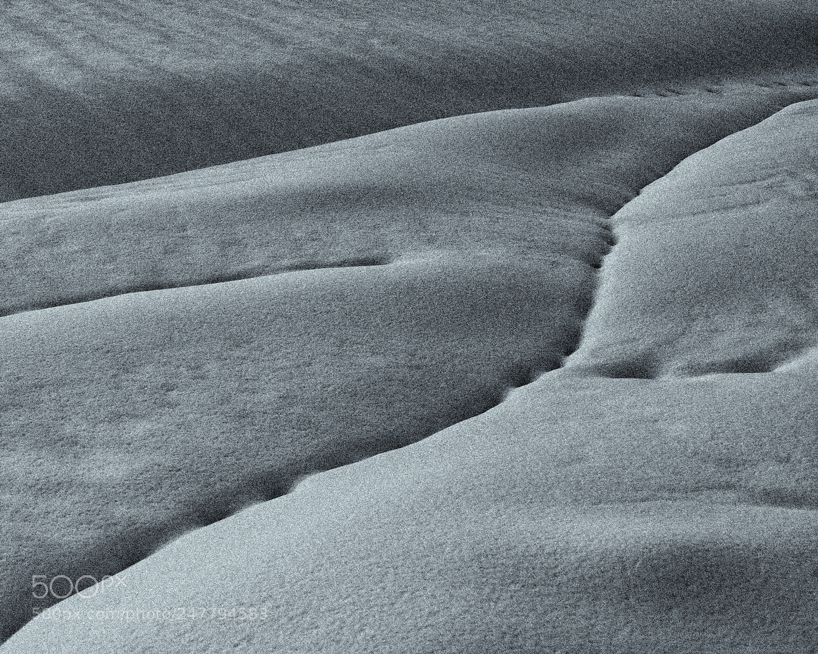 Sony a7R III sample photo. ©werner mäder uetikon photography
