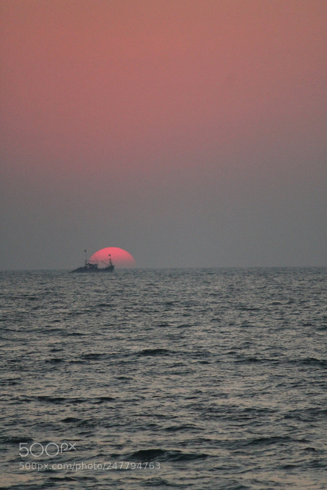 Canon EF-S 55-250mm F4-5.6 IS II sample photo. Img photography