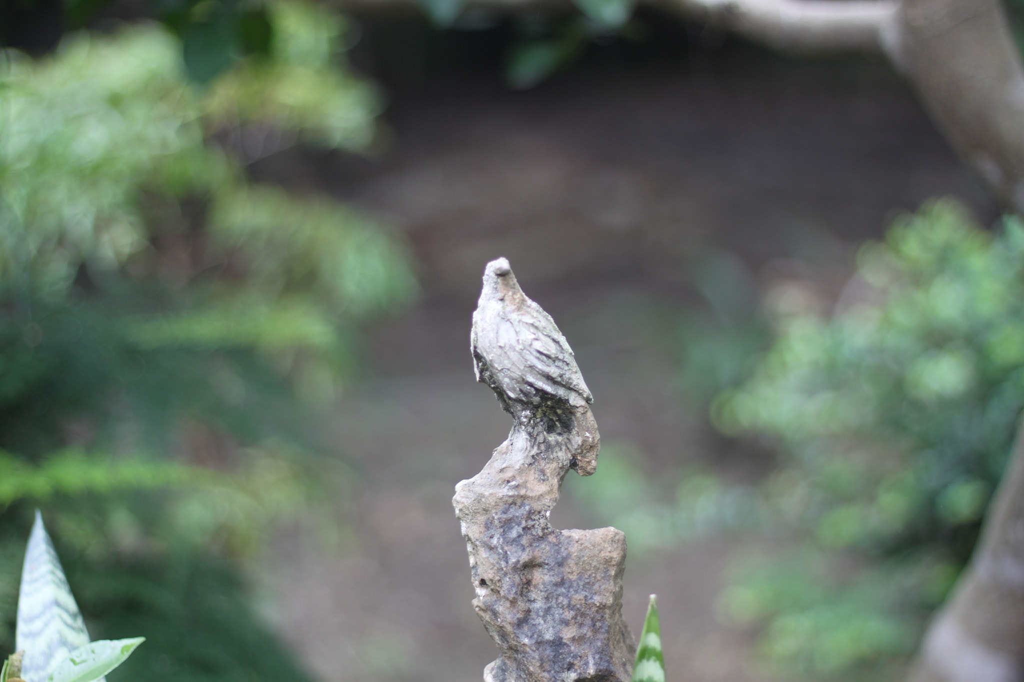 Canon EOS 500D (EOS Rebel T1i / EOS Kiss X3) sample photo. Img photography