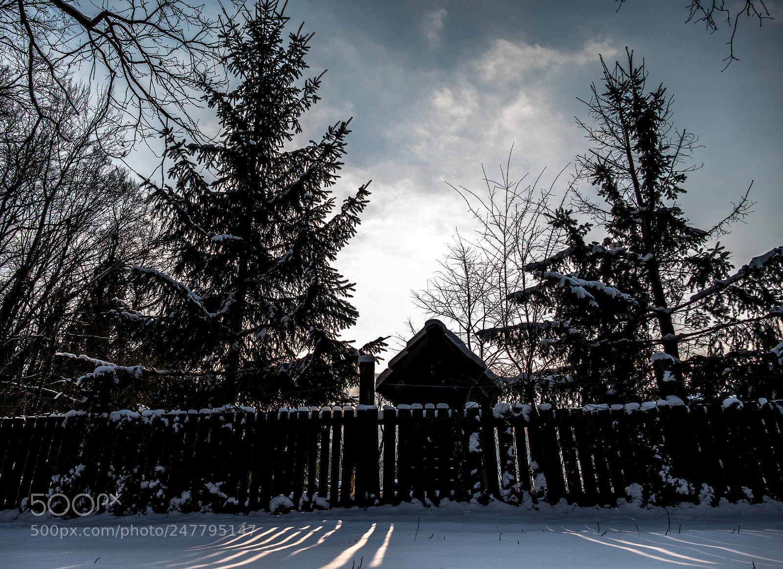 Panasonic Lumix DMC-FZ1000 sample photo. Beautiful winter photography