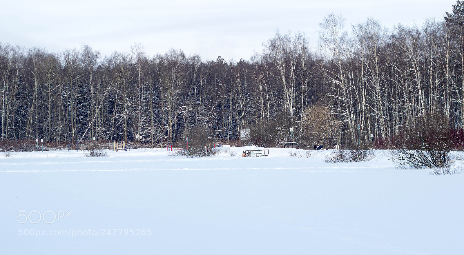 Canon EOS 600D (Rebel EOS T3i / EOS Kiss X5) sample photo. Winter pond. 26 c photography