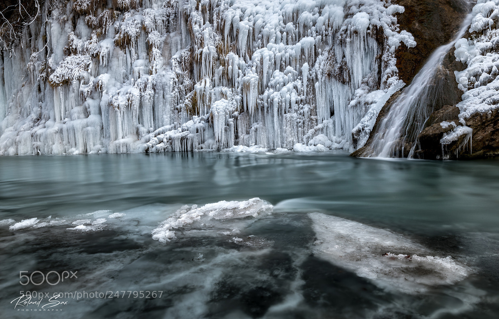 Nikon D850 sample photo. Winterwonderland photography