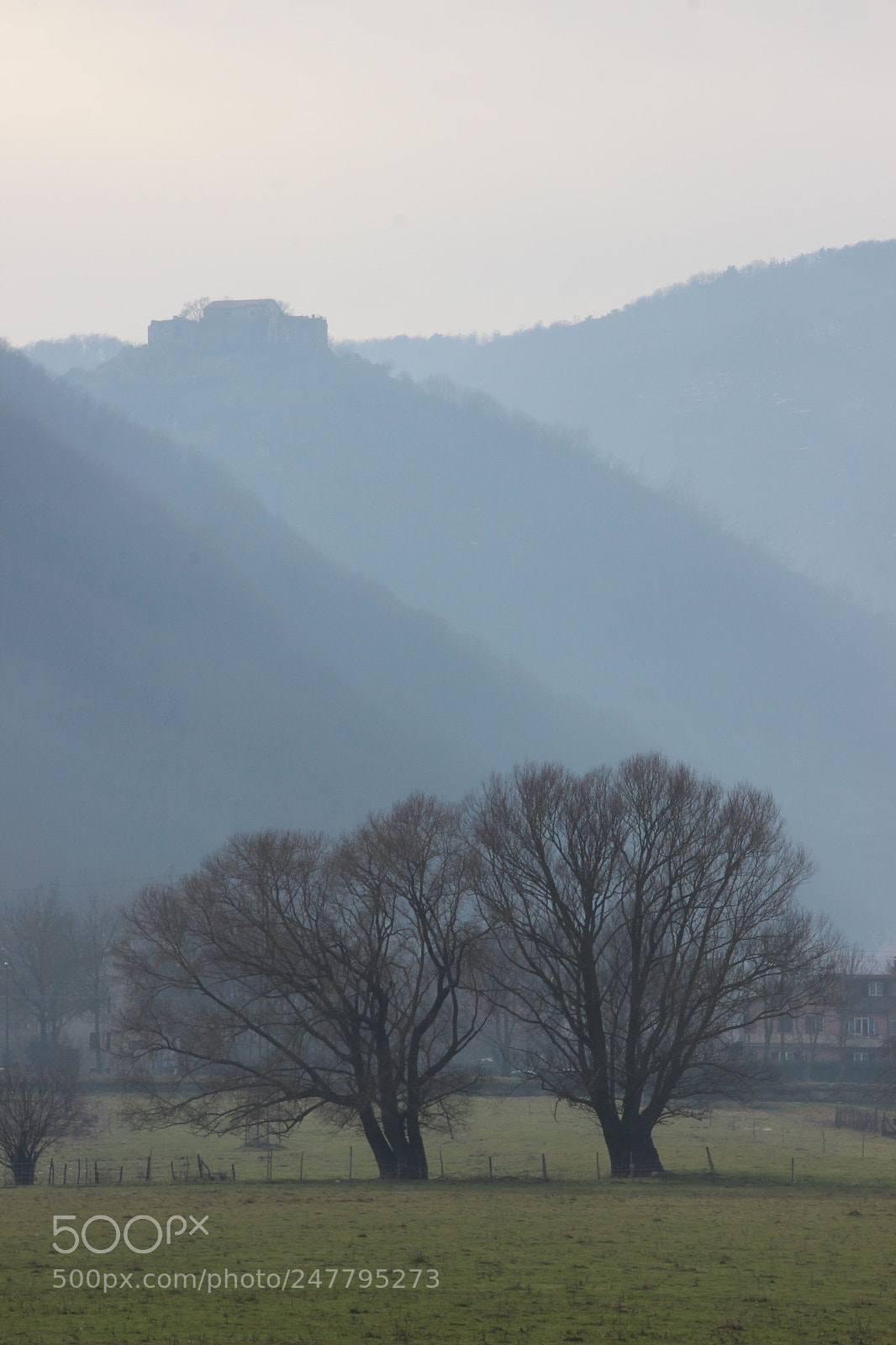 Canon EOS 600D (Rebel EOS T3i / EOS Kiss X5) sample photo. Trees photography