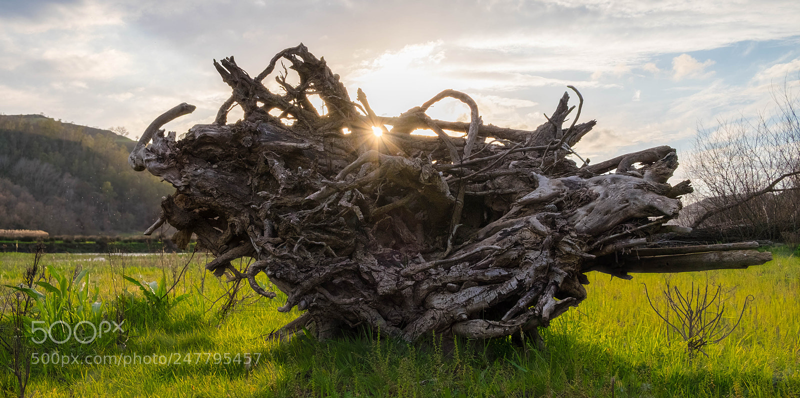 Fujifilm X-T10 sample photo. Giant beached photography