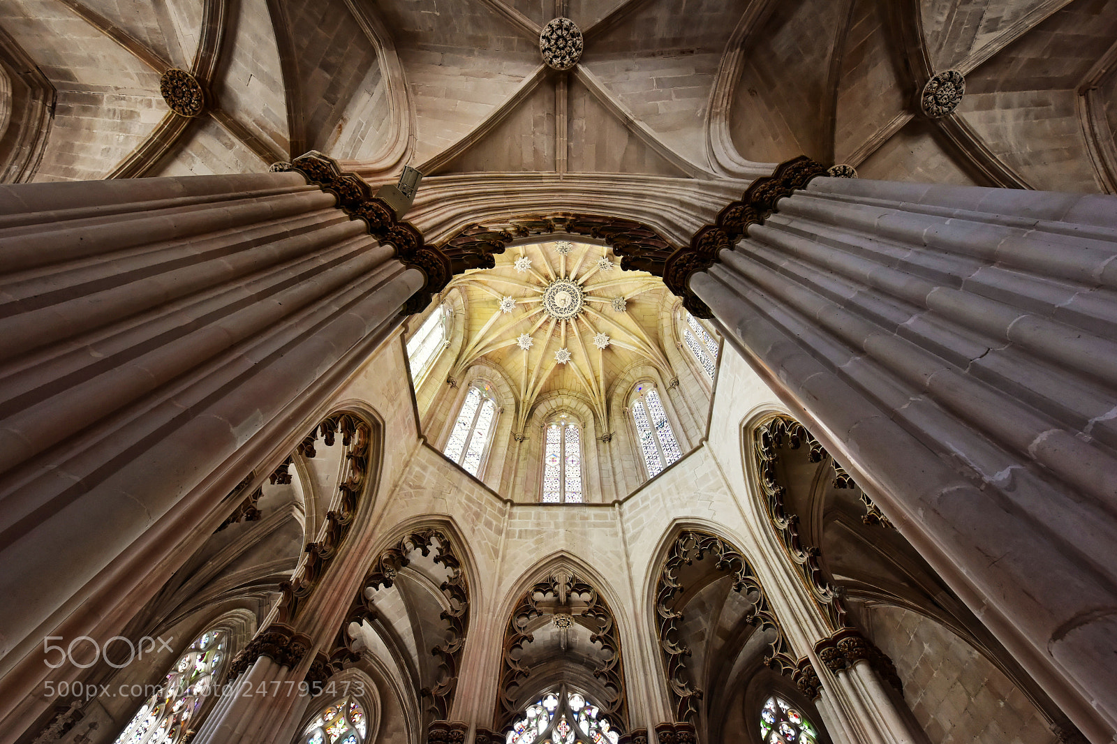 Nikon D810 sample photo. Upwards inspiration photography