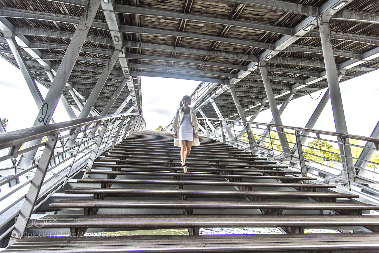 Nikon D810 sample photo. Paris passerelle l opold photography