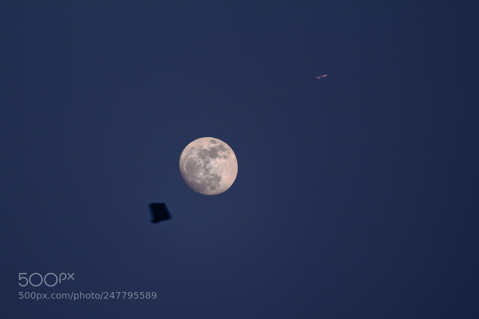 Canon EOS 1300D (EOS Rebel T6 / EOS Kiss X80) sample photo. A kite, a plane photography