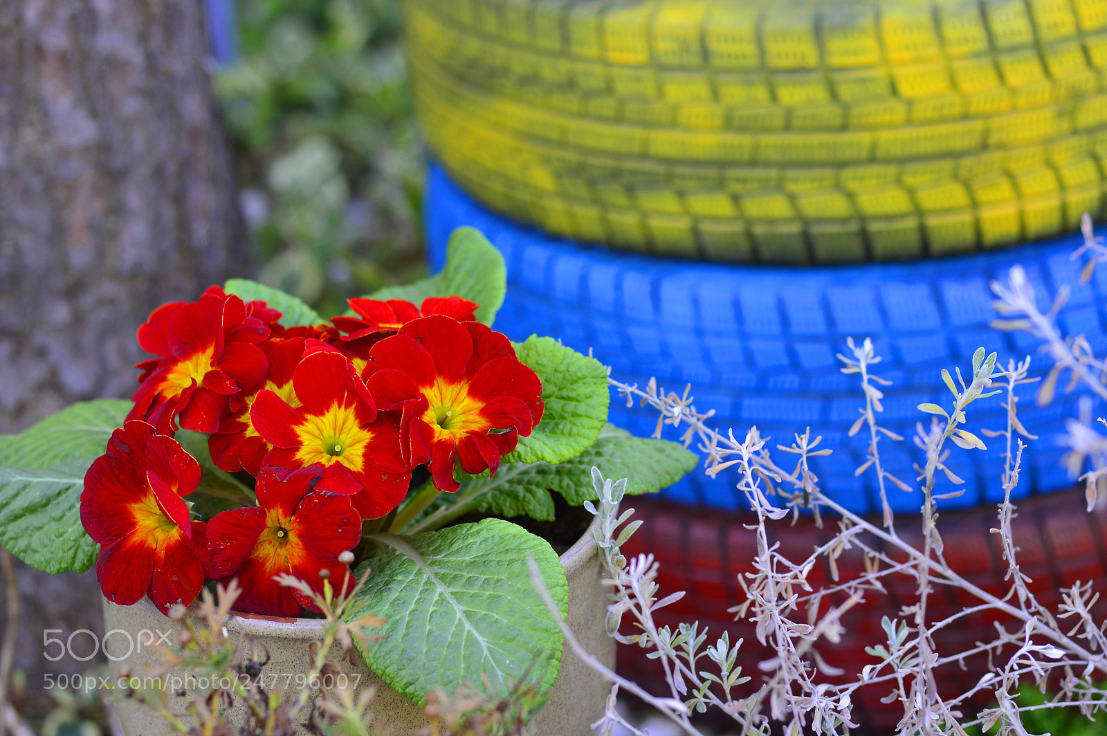 Nikon D3200 sample photo. Garden nature......spring time photography