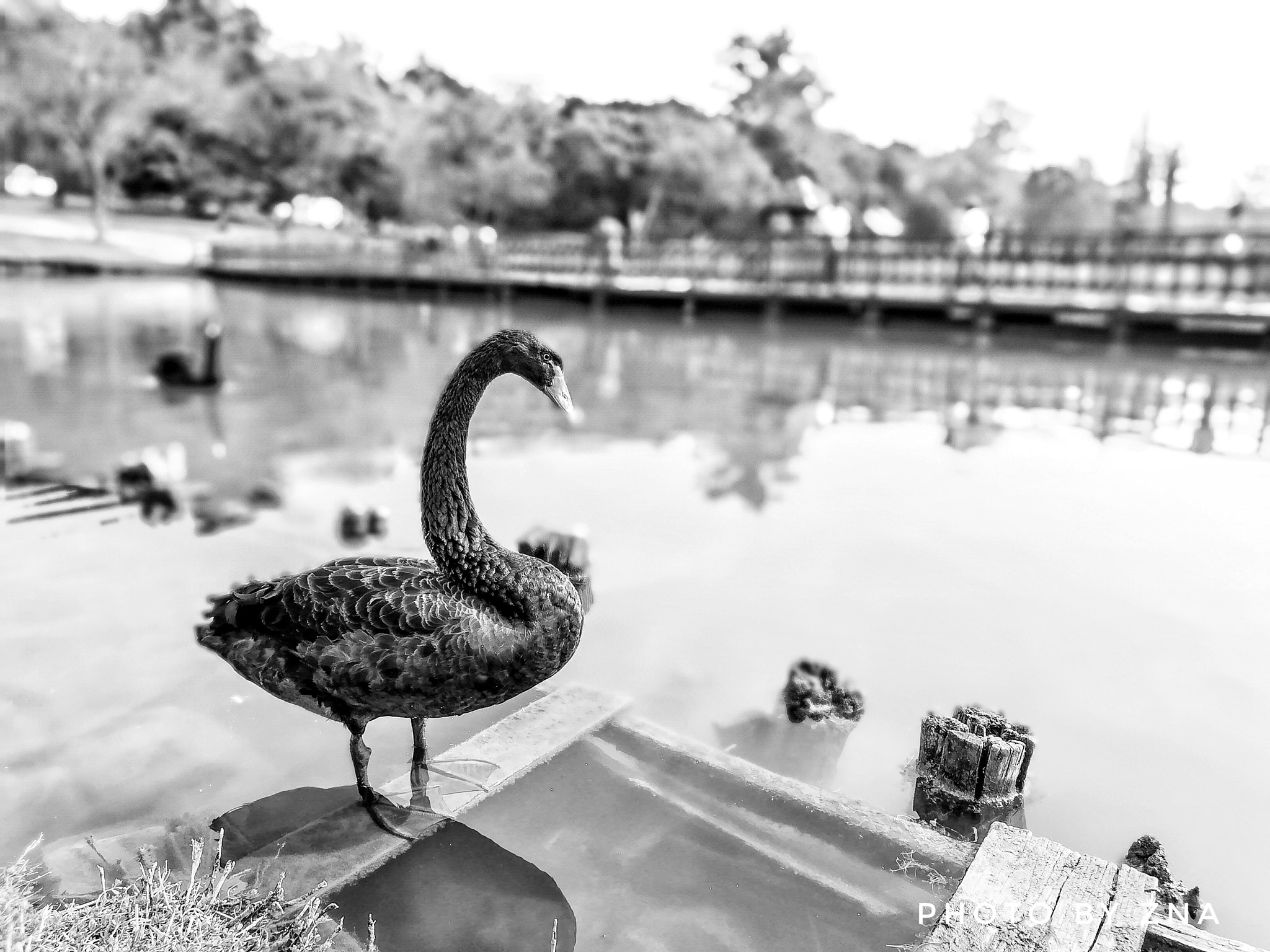 HUAWEI GR5 2017 sample photo