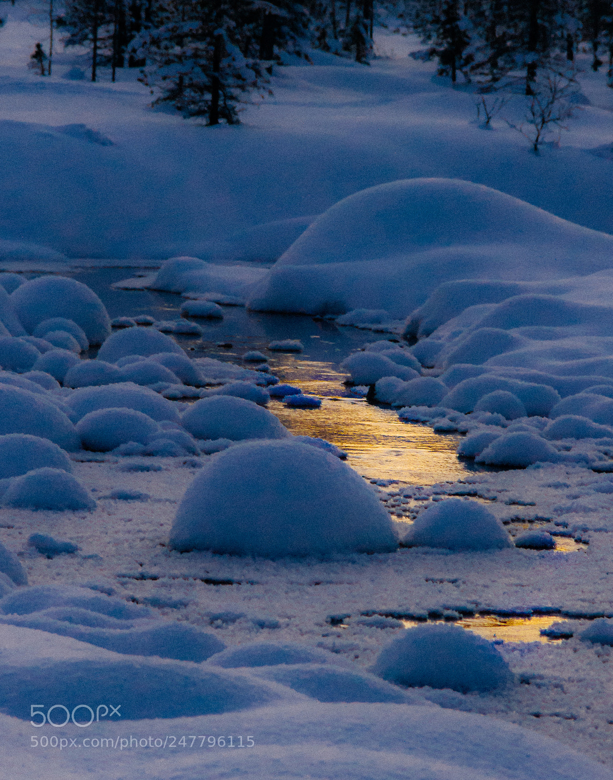 Sony Alpha DSLR-A900 sample photo. Landscape with winter creek photography
