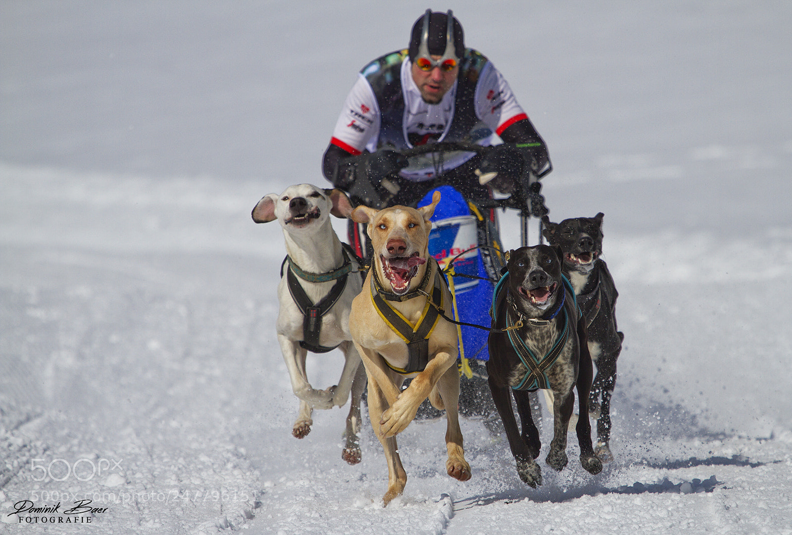 Canon EOS 7D sample photo. Flying with redbull photography